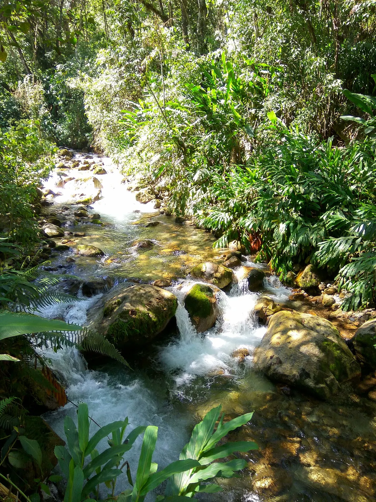 The green railway-side path through the Mandor Gardens valley near Aguas Calientes